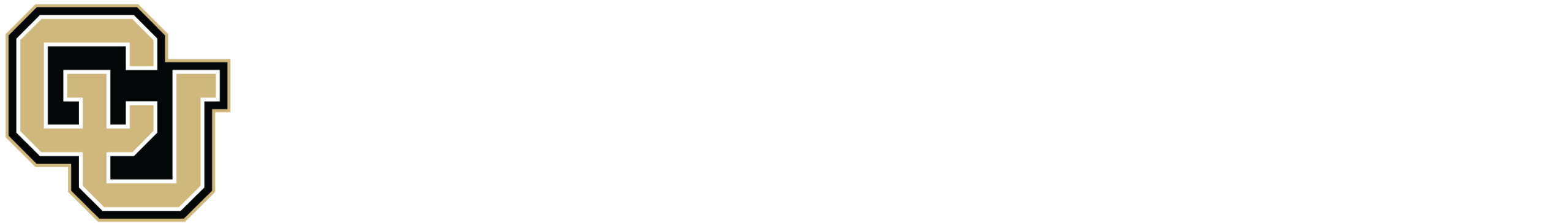 COLORADO DENVER MBA (CDM)